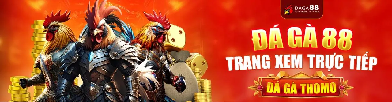 Biểu đồ các loại cookie và cách chúng hoạt động trên nền tảng nk88 code